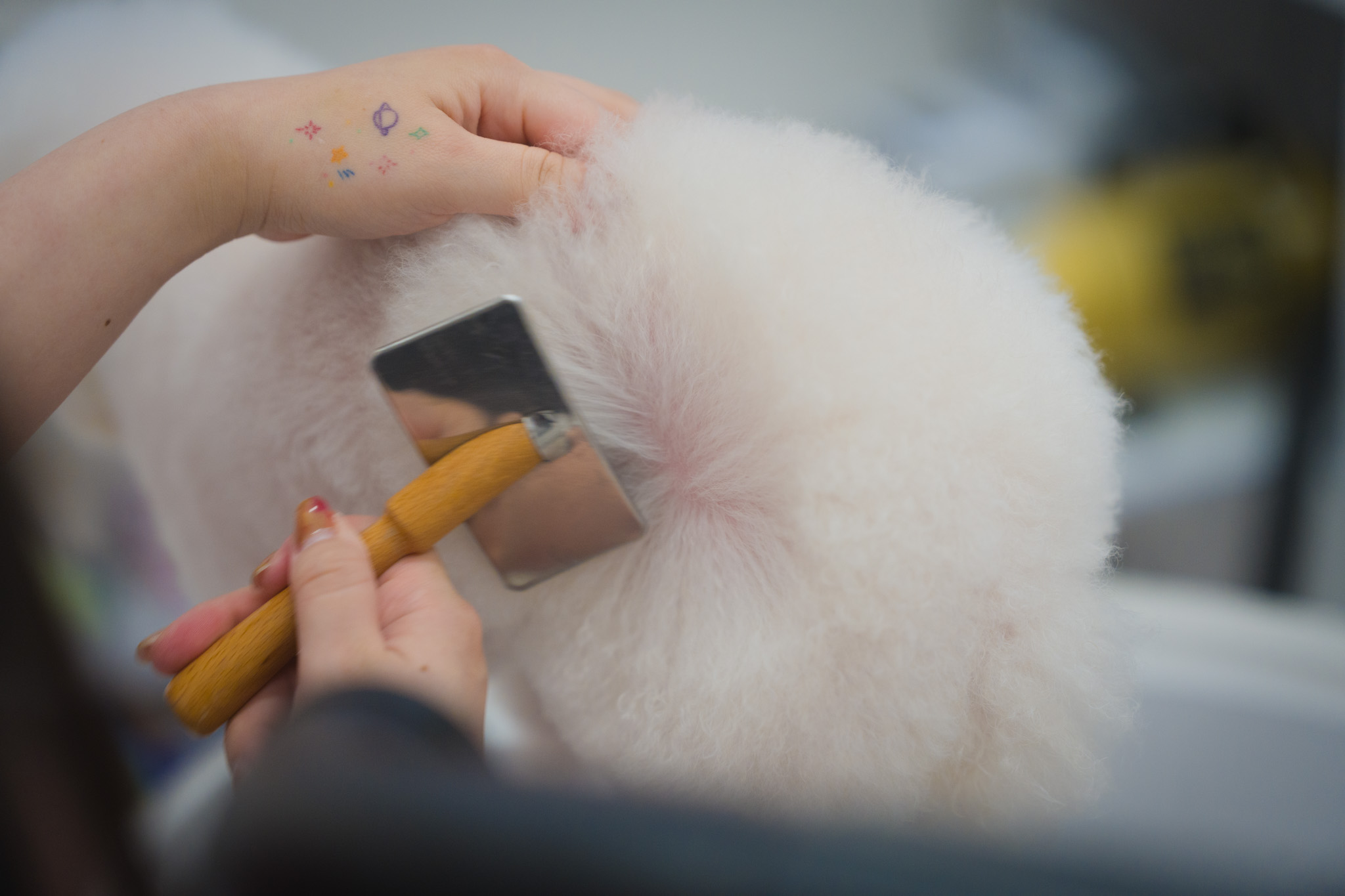 かわいくするだけじゃない、健康を守るパートナー