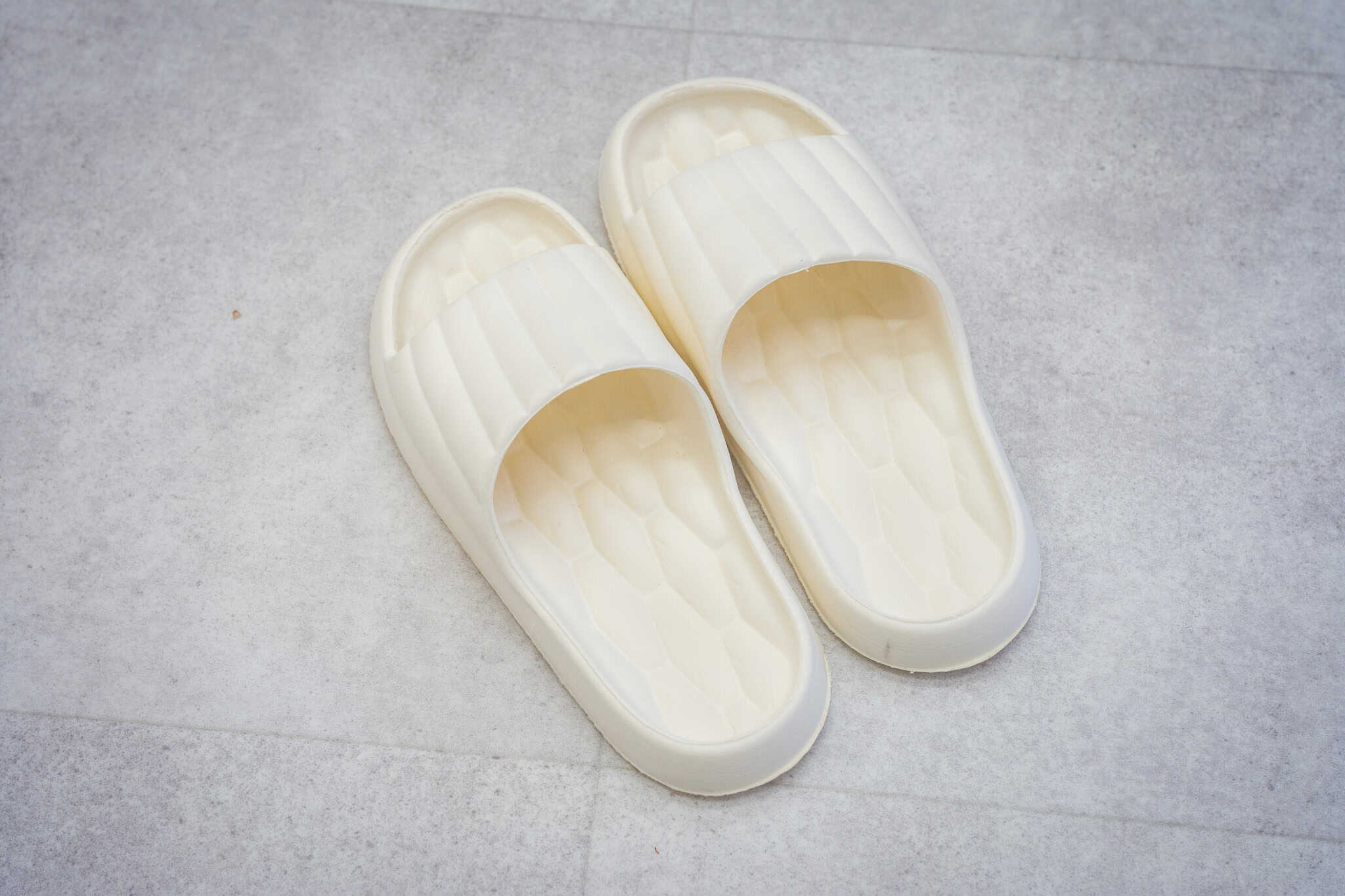 裸足のわんちゃんが、ゴロンとできる清潔さを。