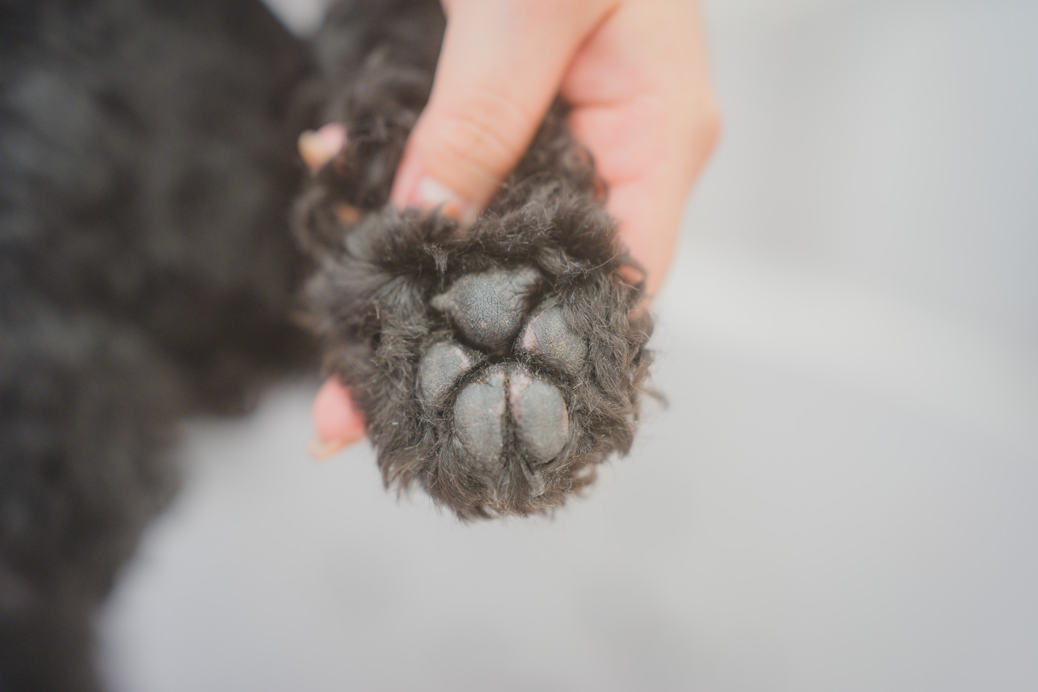 足裏のトラブル、刈り方ひとつで守れます