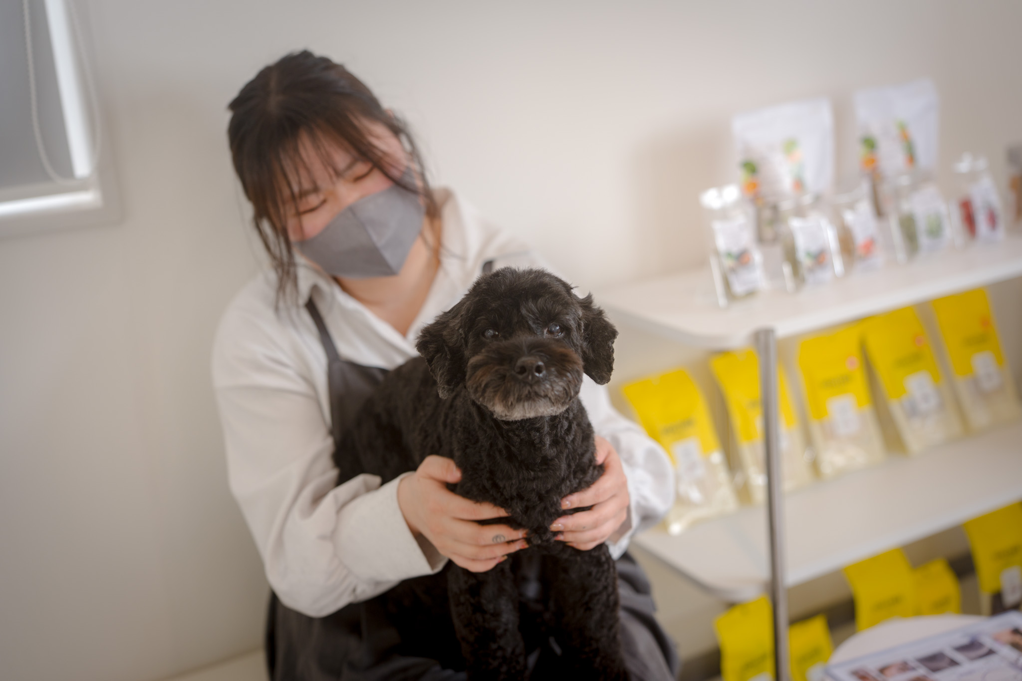 わんちゃんの質問「ウェルカム」です！