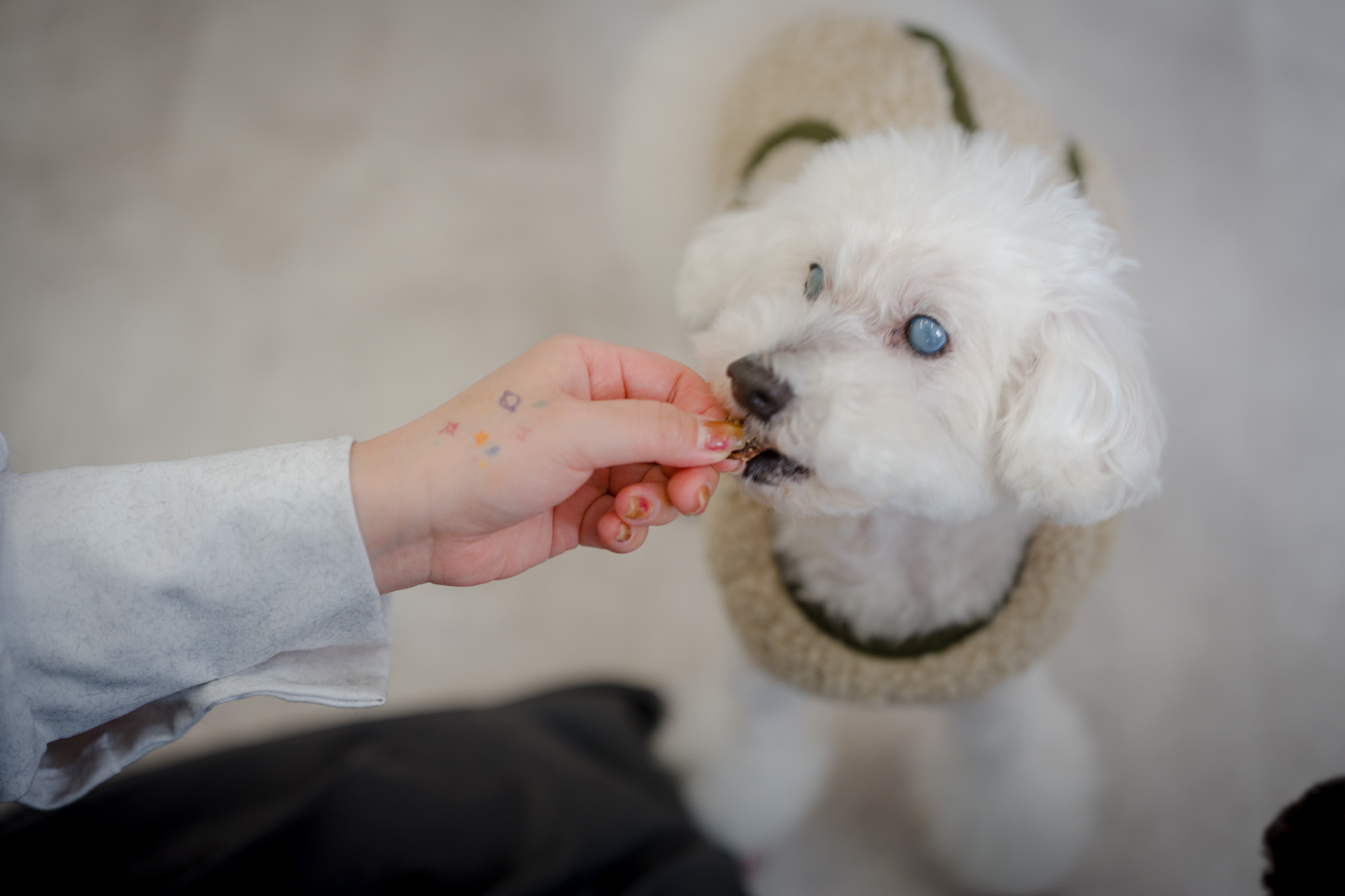 おやつで「楽しい」の記憶を。