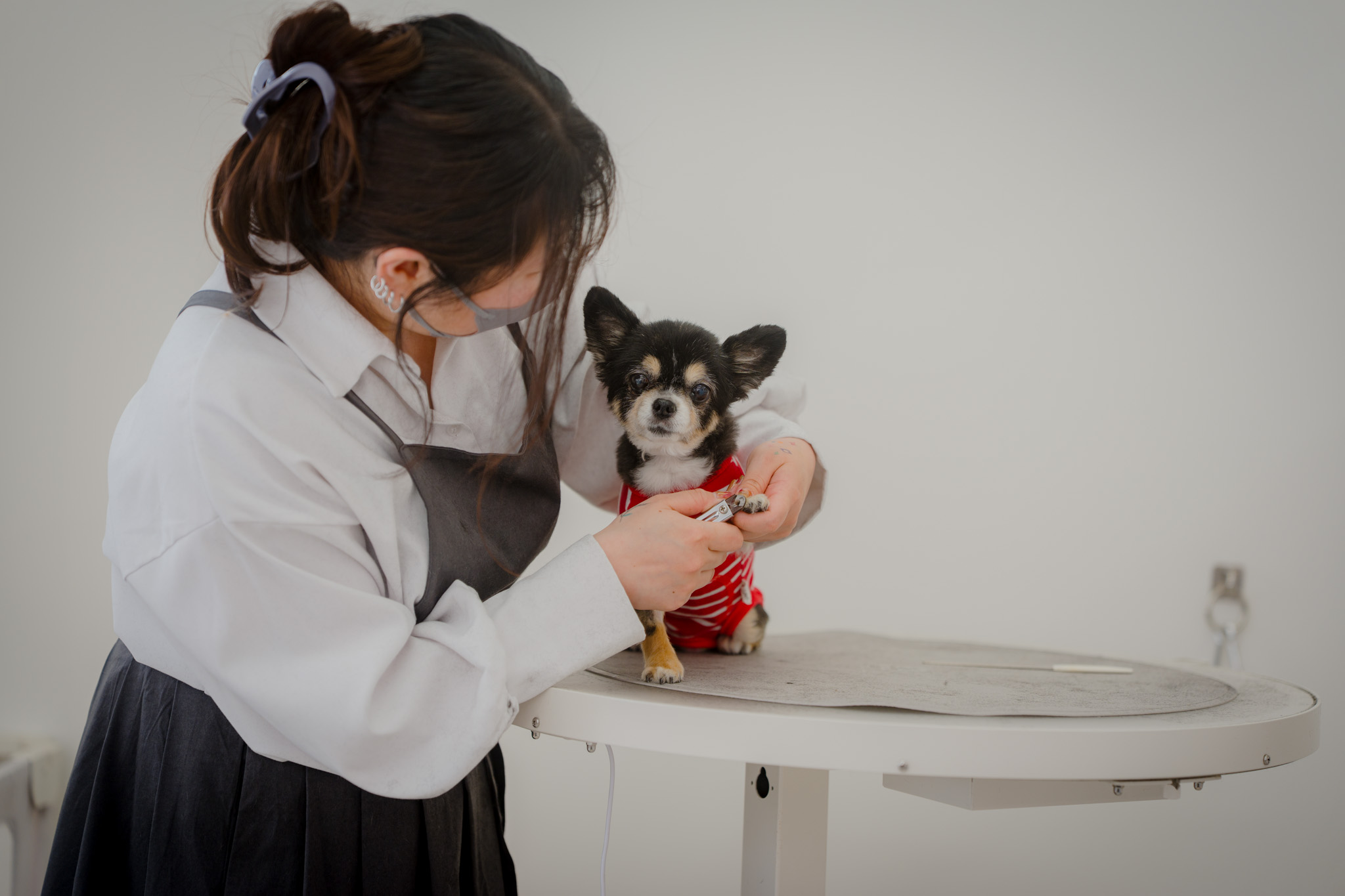 ファーストトリミング｜トリミングサロンfuwari