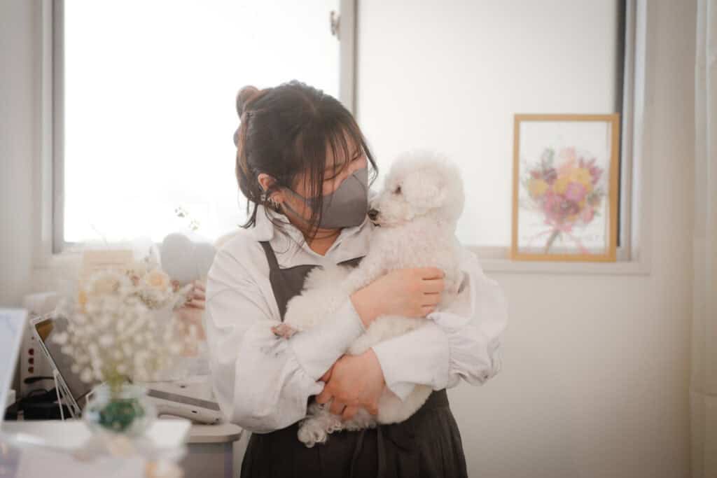 青森市のトリミングサロンdog salon fuwariでは他店に断れた方もお気軽にご相談ください。